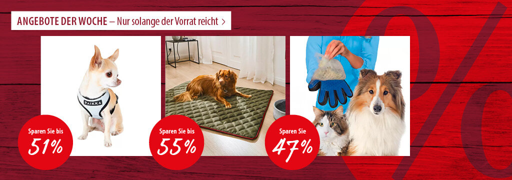 Angebote der Woche