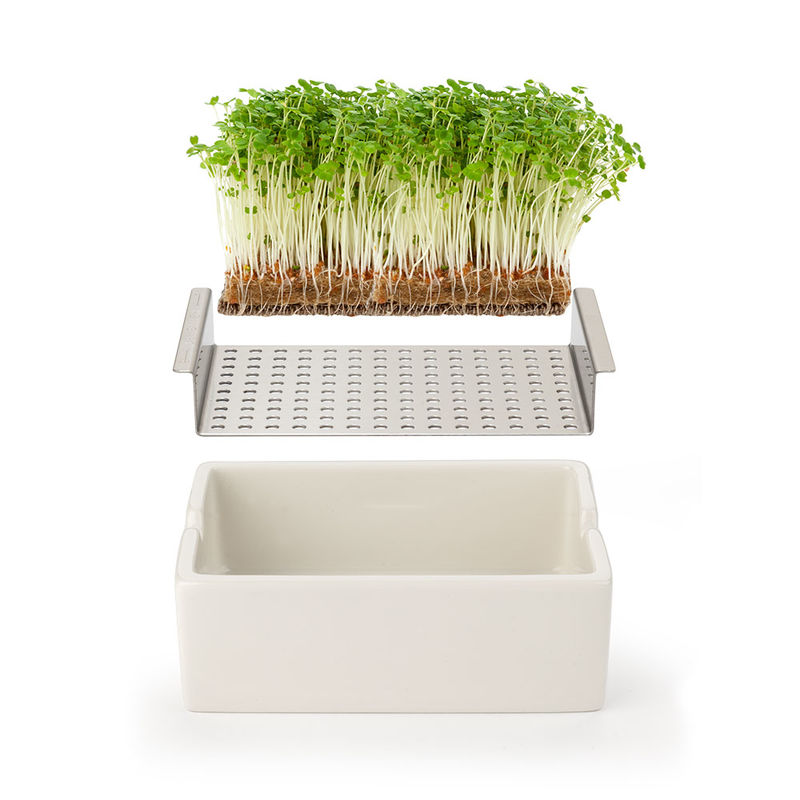 Low-Carb Bio Microgreens: Ganzj�hrig gesunde frische Kr�uterkost Bild 2