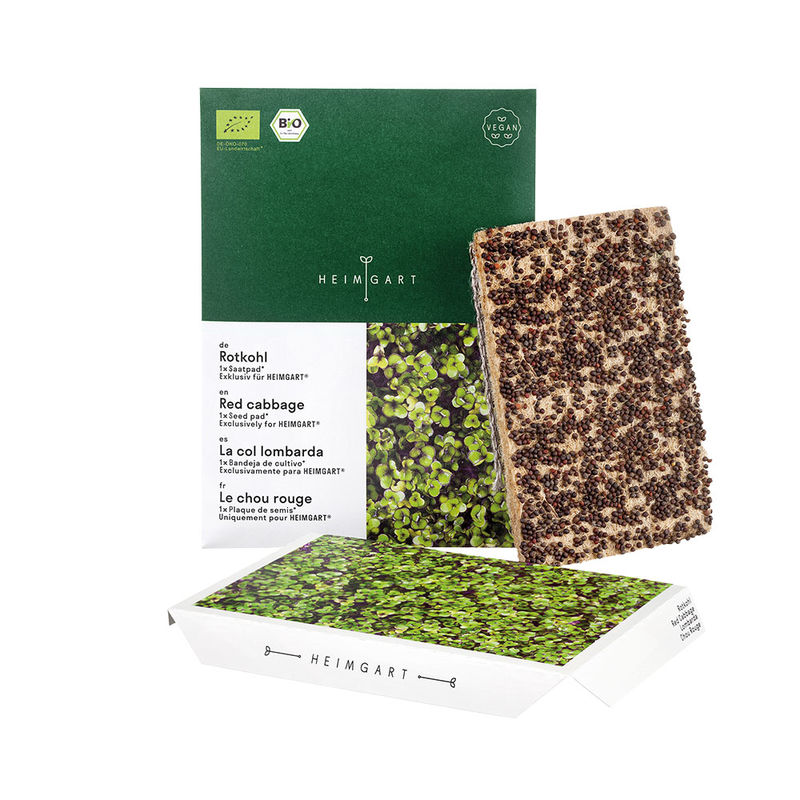   Microgreens Saatpads Rotkohl: Liebliche Vitaminbomben