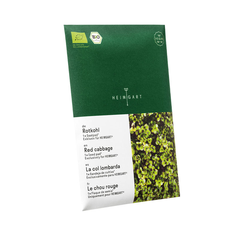   Microgreens Saatpads Rotkohl: Liebliche Vitaminbomben Bild 2
