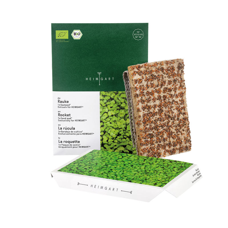 Microgreens Saatpads Rauke: Herbe Noten vom Mittelmeer