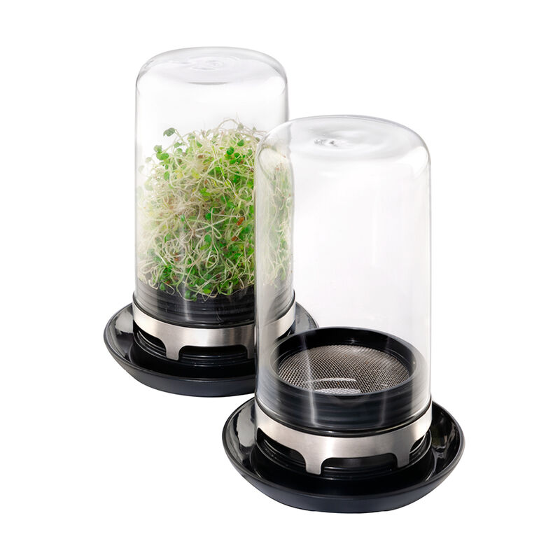 Innovatives Sprossen-Gew�chshaus liefert frische Kost