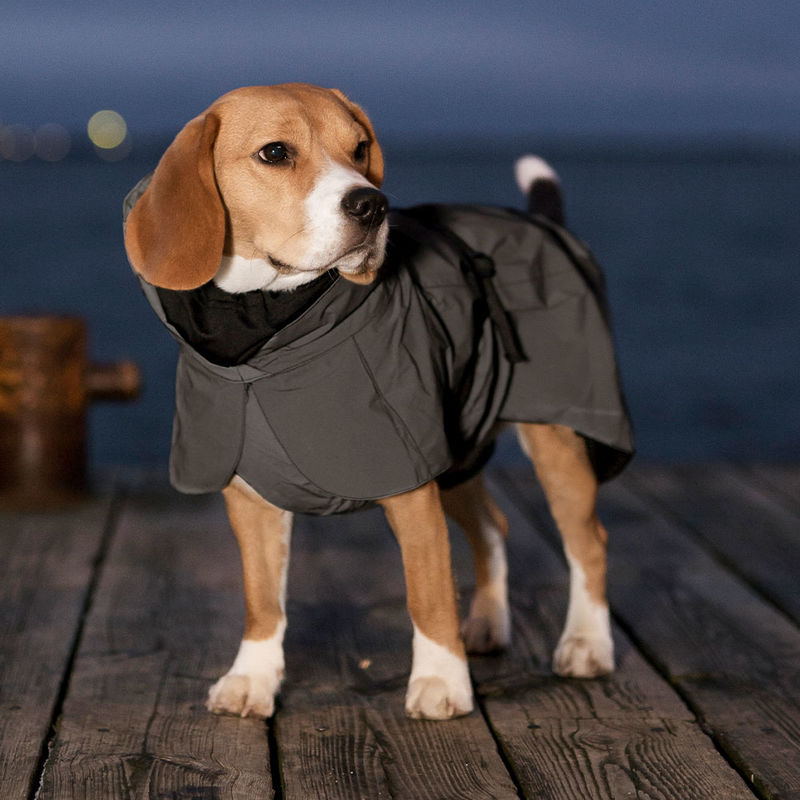 Reflektierender Regenmantel h�lt Ihren Hund warm und trocken