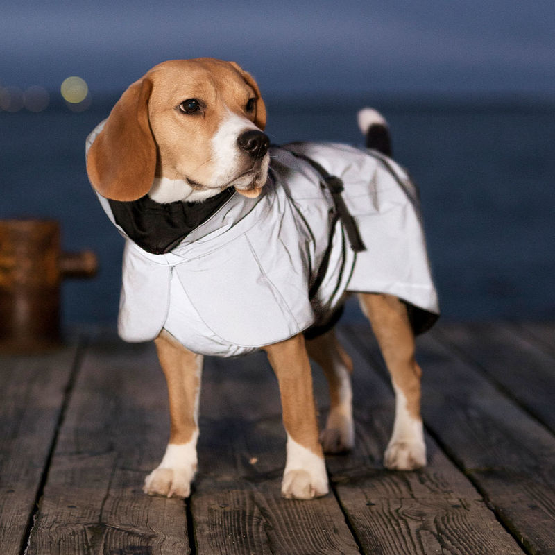 Reflektierender Regenmantel h�lt Ihren Hund warm und trocken Bild 2