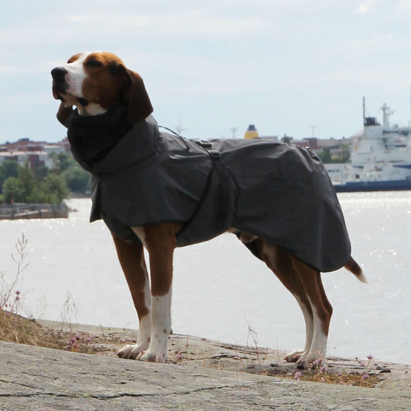 Reflektierender Regenmantel h�lt Ihren Hund warm und trocken Bild 4