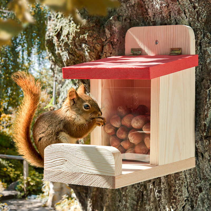 Selbstbedienungs-Futterkasten f�r Eichh�rnchen