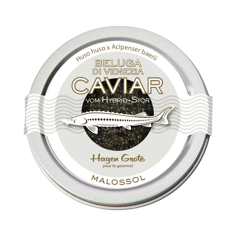 Beluga di Venezia: Schwarzer Kaviar mit einem unvergleichlichen Aroma