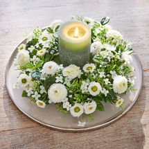 Immerbl�hender Belliskranz in stilvollem Creme