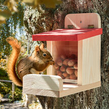 Selbstbedienungs-Futterkasten f�r Eichh�rnchen