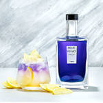 Gin Hass